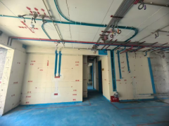 探访材通管业×金螳螂家标杆工地，解码定制透明线管